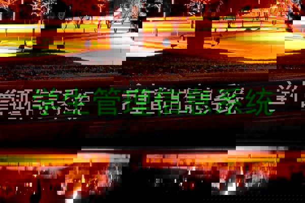 学生管理信息系统