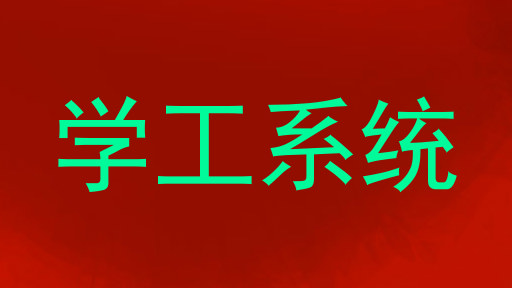 学工系统