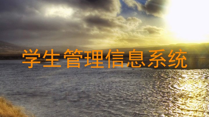 学生管理信息系统