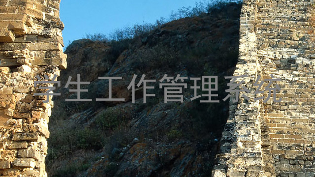 学生工作管理系统