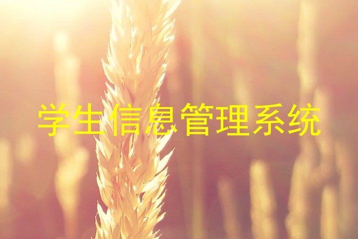 学生信息管理系统