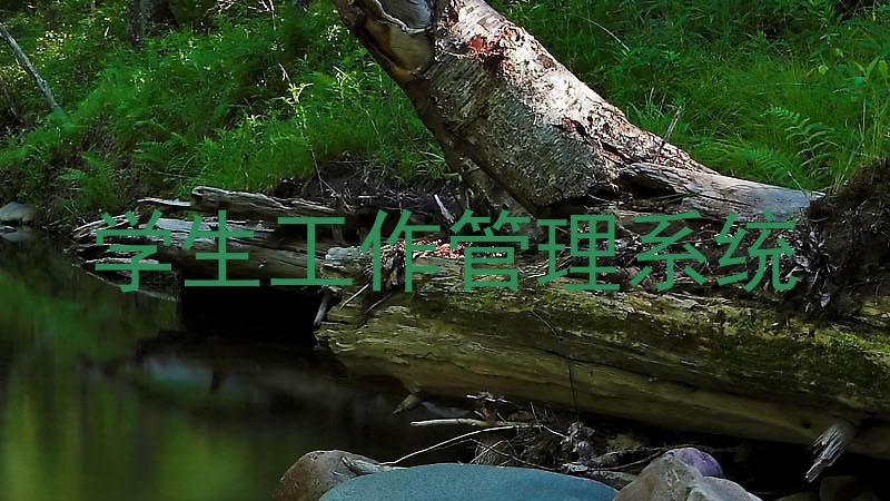 学生工作管理系统