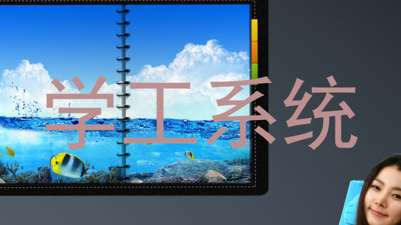 学工系统