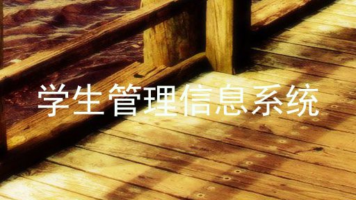 学生管理信息系统