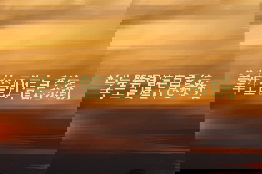 学生管理信息系统