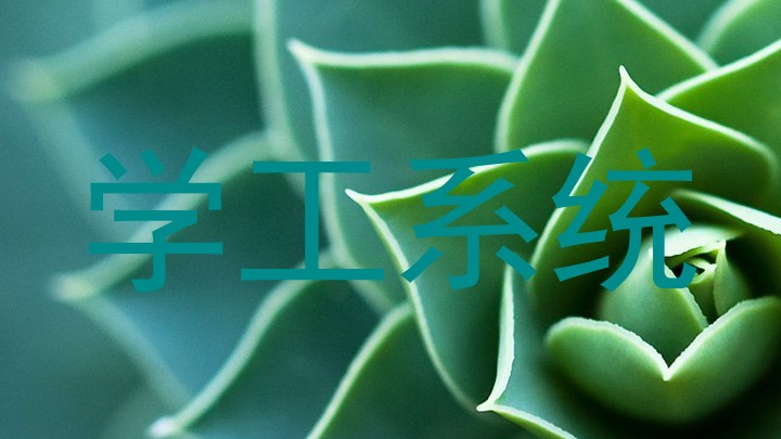学工系统