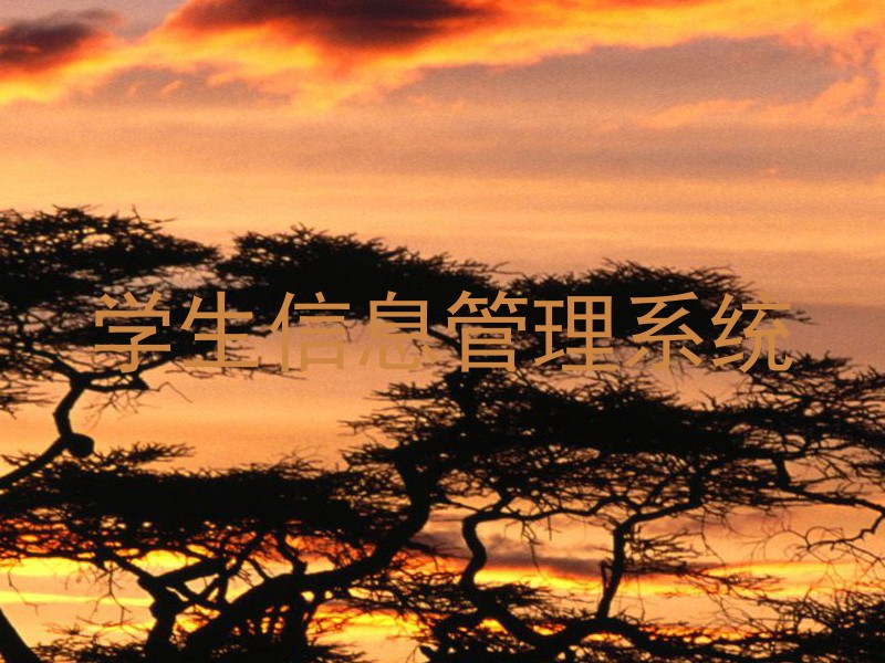 学生信息管理系统