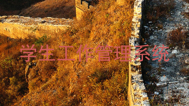 学生工作管理系统