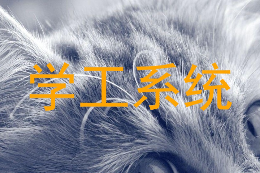 学工系统