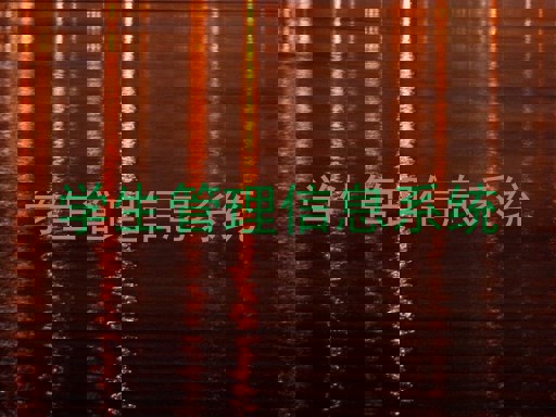 学生管理信息系统