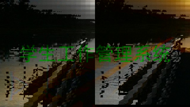 学生工作管理系统