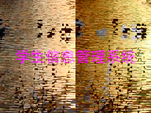 学生信息管理系统