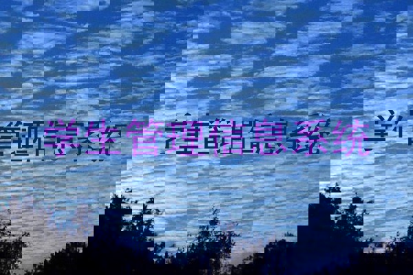 学生管理信息系统