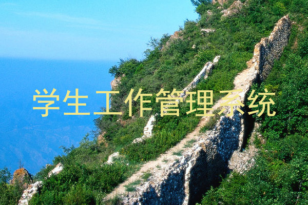 学生工作管理系统