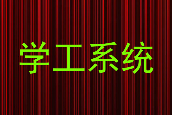 学工系统