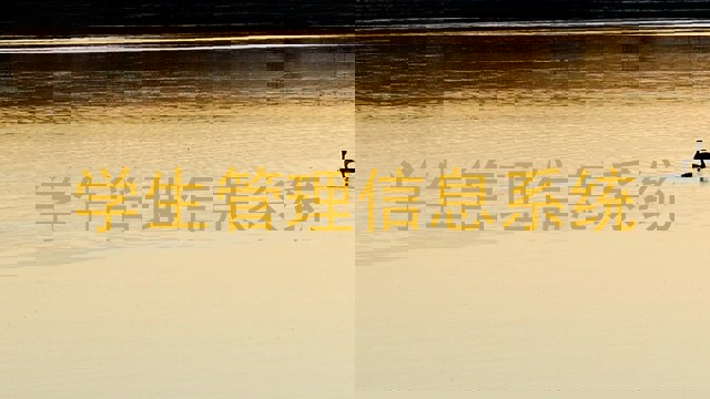 学生管理信息系统