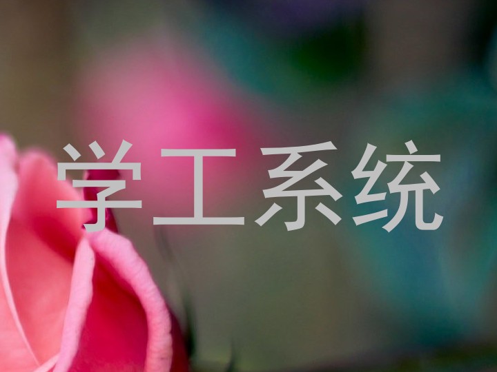 学工系统
