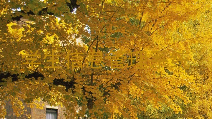 学生信息管理系统