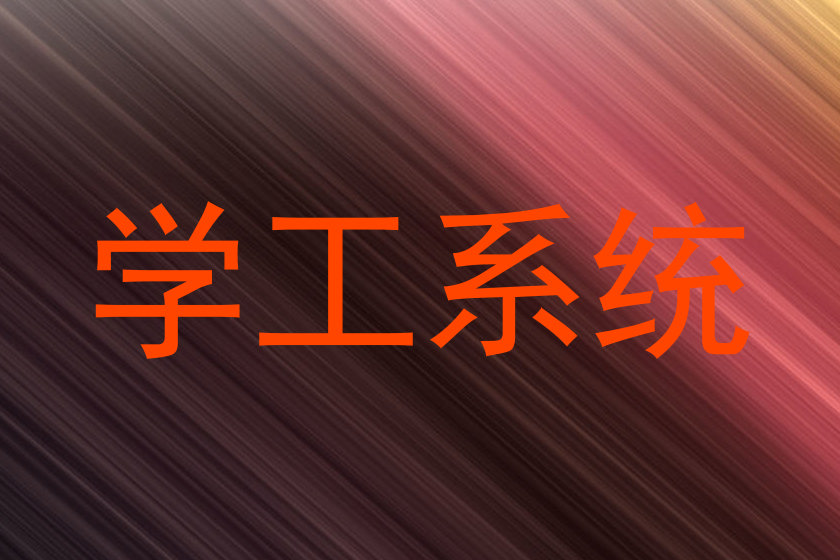 学工系统