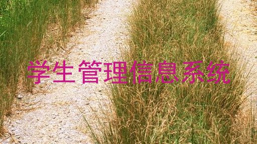 学生管理信息系统