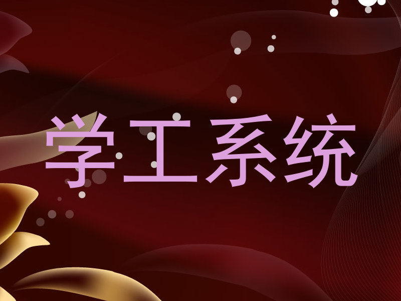 学工系统