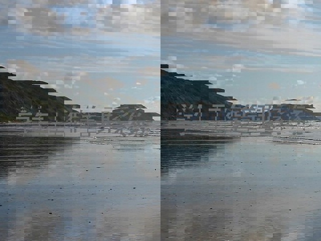 学生工作管理系统