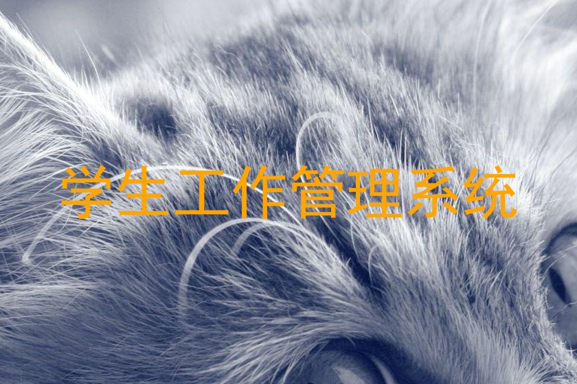 学生工作管理系统