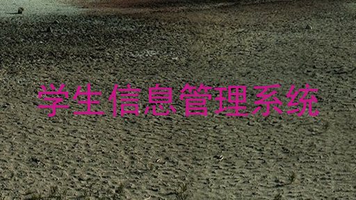 学生信息管理系统