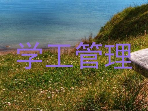 学工管理
