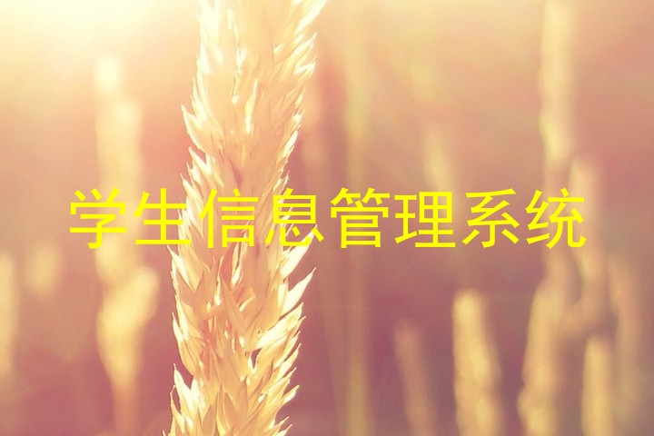 学生信息管理系统