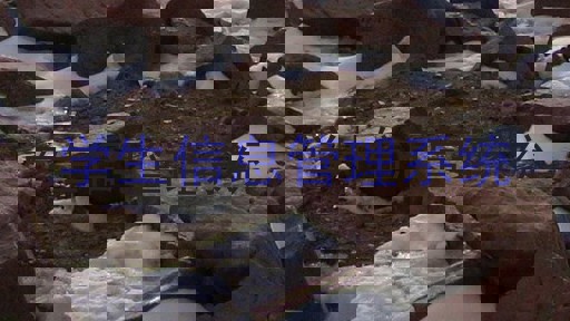 学生信息管理系统