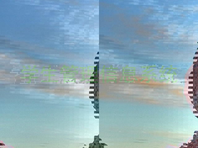 学生管理信息系统