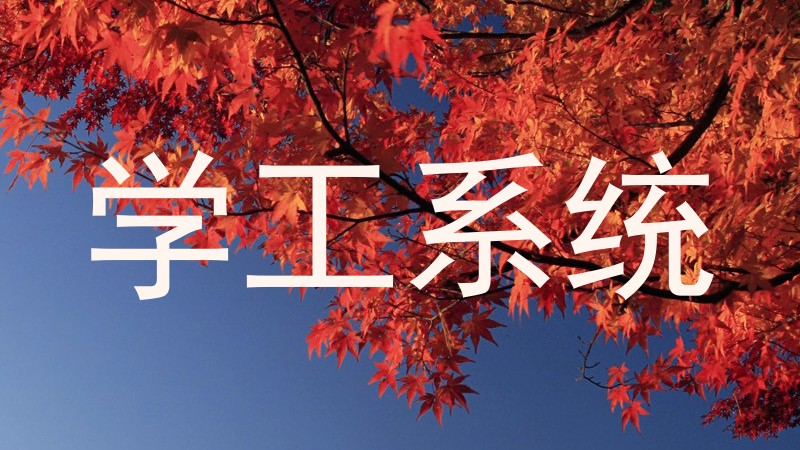 学工系统