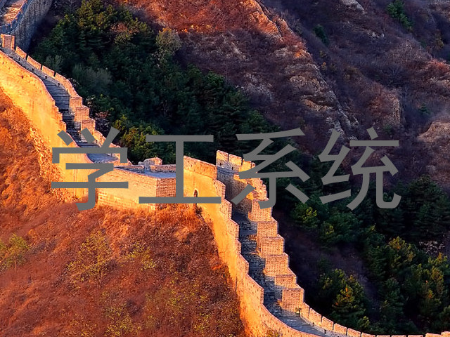 学工系统