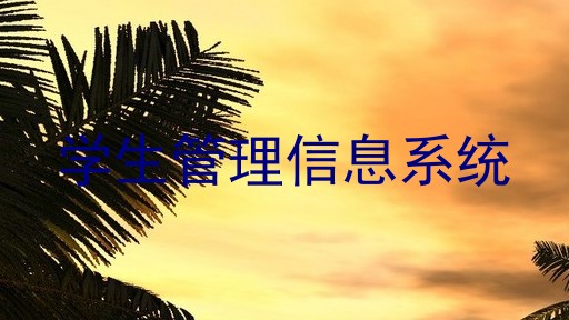 学生管理信息系统