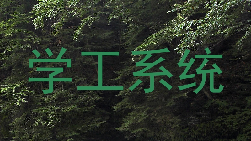 学工系统