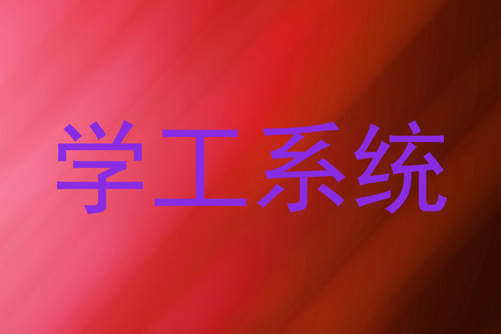 学工系统