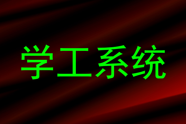 学工系统