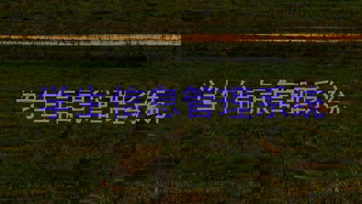 学生信息管理系统
