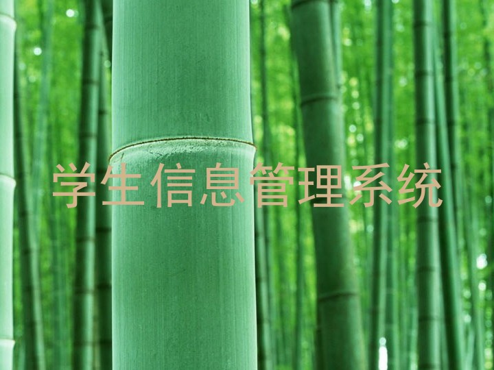 学生信息管理系统