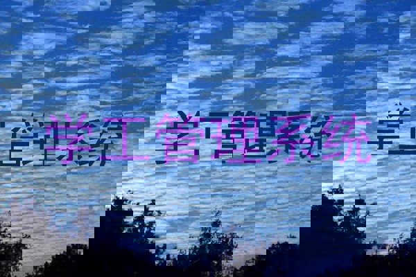 学工管理系统