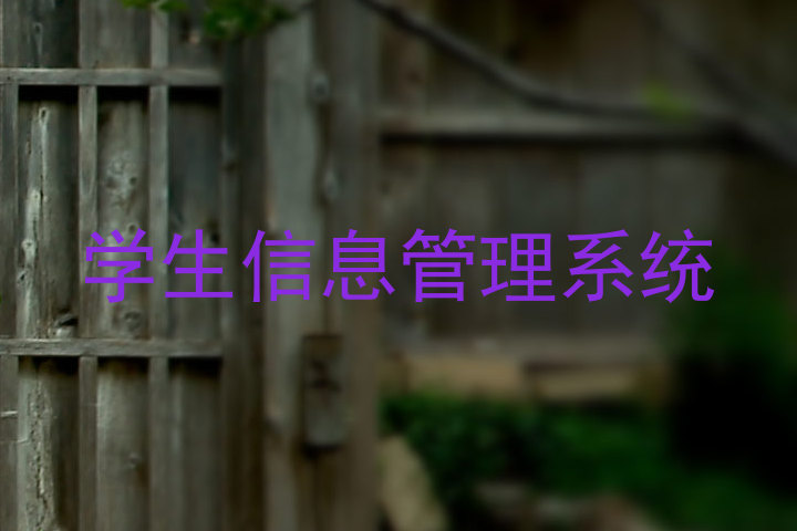 学生信息管理系统