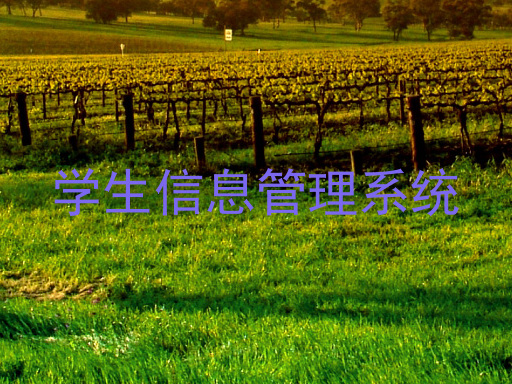 学生信息管理系统