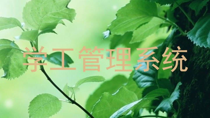 学工管理系统