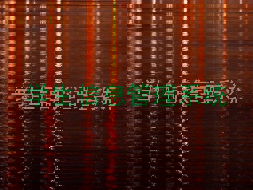 学生信息管理系统