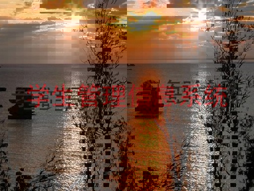 学生管理信息系统