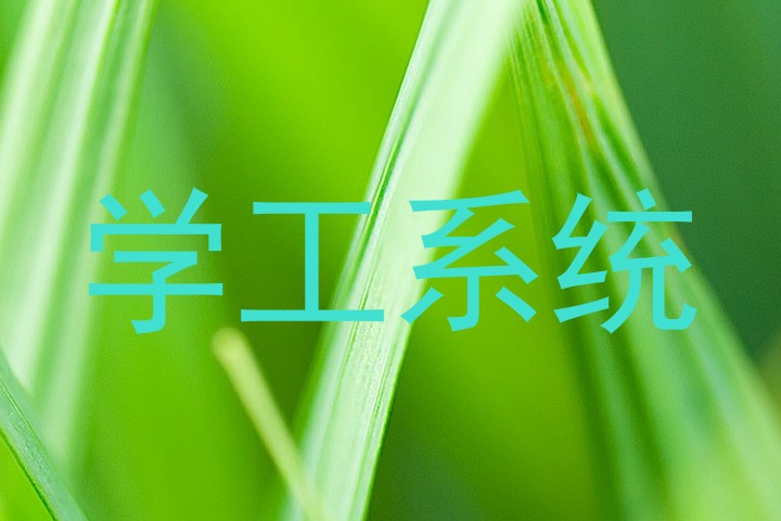 学工系统