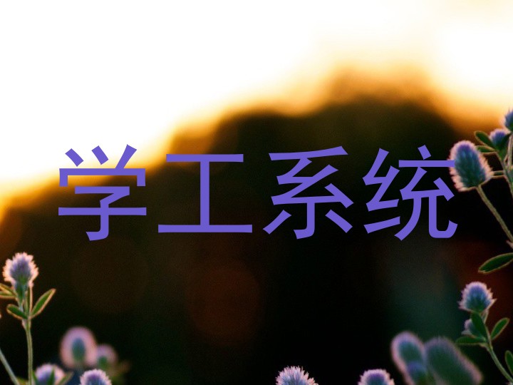 学工系统