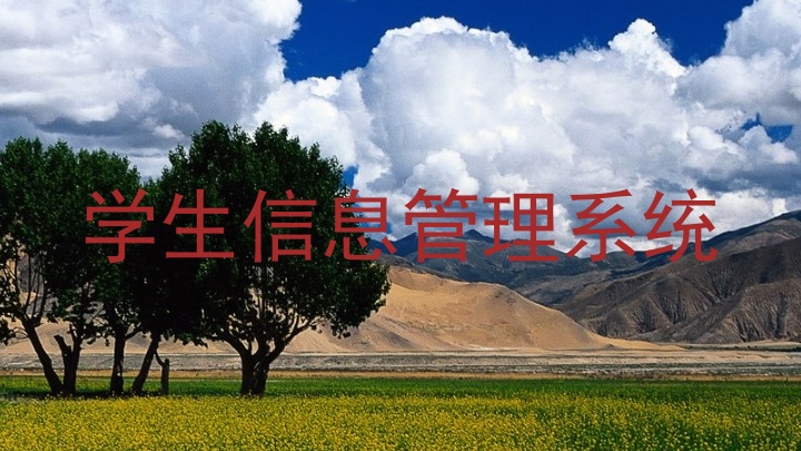 学生信息管理系统