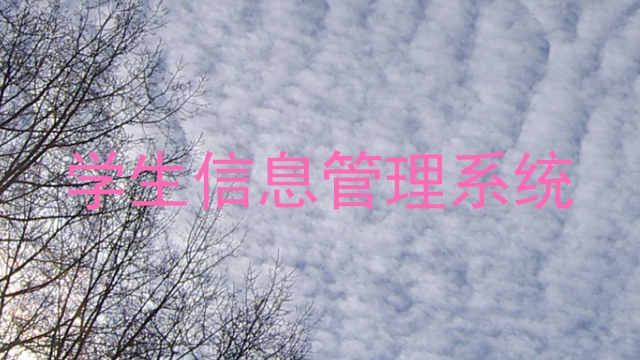 学生信息管理系统